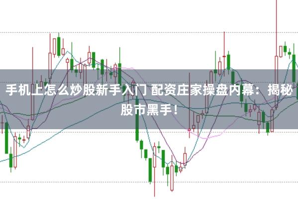手机上怎么炒股新手入门 配资庄家操盘内幕：揭秘股市黑手！