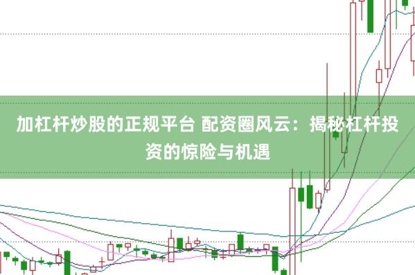 加杠杆炒股的正规平台 配资圈风云：揭秘杠杆投资的惊险与机遇