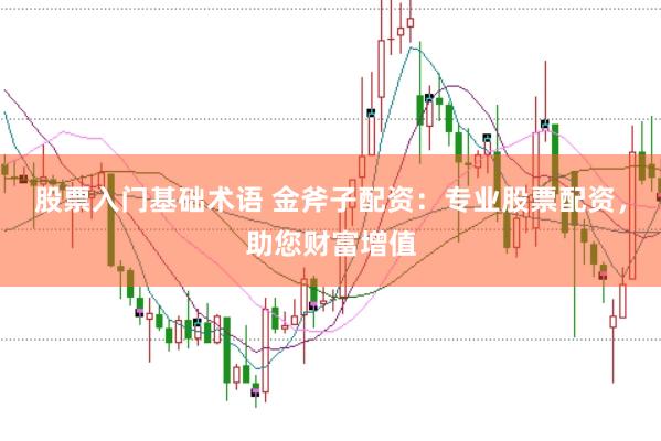 股票入门基础术语 金斧子配资：专业股票配资，助您财富增值
