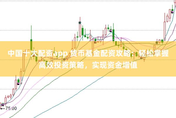 中国十大配资app 货币基金配资攻略：轻松掌握高效投资策略，实现资金增值