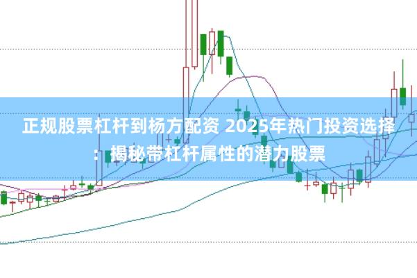 正规股票杠杆到杨方配资 2025年热门投资选择:揭秘带杠杆属性的潜力股票