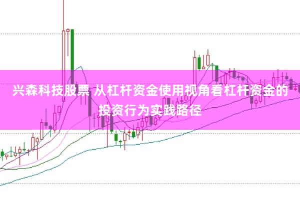 兴森科技股票 从杠杆资金使用视角看杠杆资金的投资行为实践路径