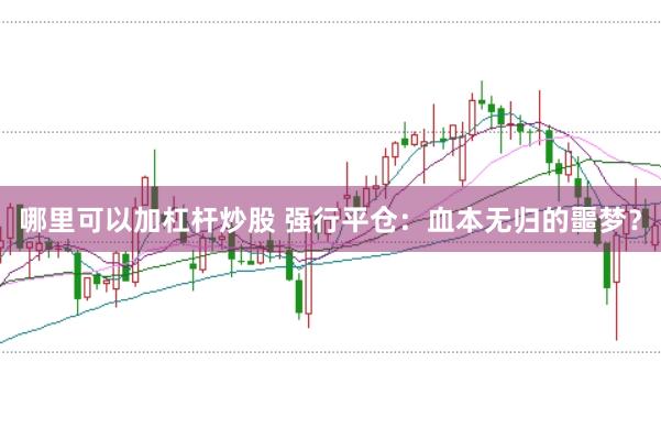 哪里可以加杠杆炒股 强行平仓：血本无归的噩梦？